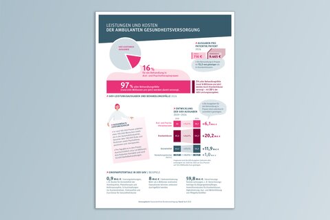 Ansicht Faktenblatt Ambulante Versorgung