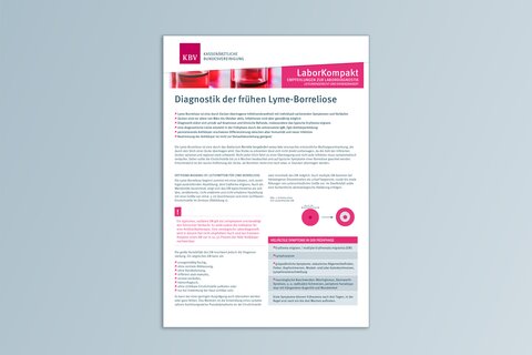 Titelbild LaborKompakt Diagnostik der frühen Lyme-Borreliose