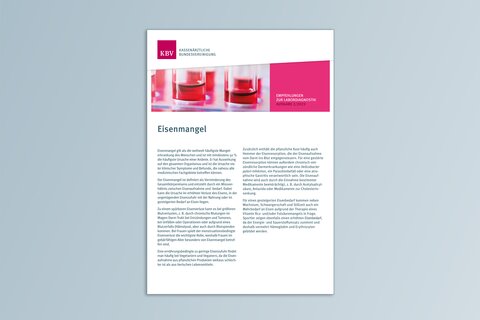 Titelbild Labordiagnostischer Pfad Eisenmangel