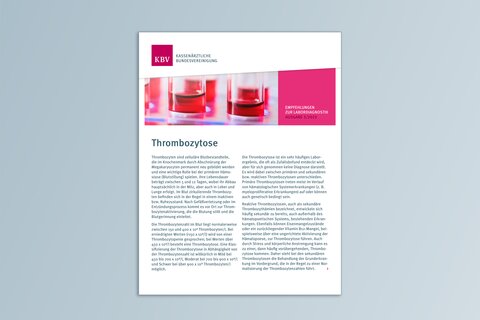 Titelbild Labordiagnostischer Pfad Thrombozytose